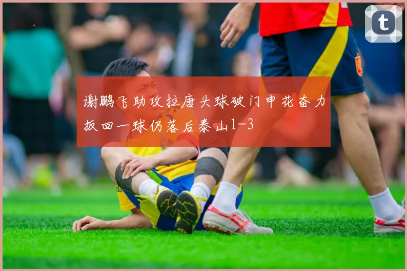 谢鹏飞助攻拉唐头球破门申花奋力扳回一球仍落后泰山1-3